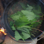 Einkorn-Eintopf Zubereitung, Melde