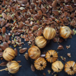 Leinsamen ganz und geschrotet und Kapseln